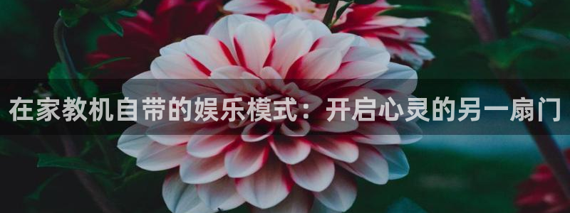 顺盈娱乐