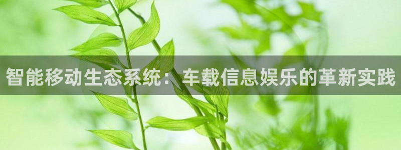 顺盈娱乐